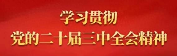 31省无症状感染:无症状感染者全国分布图表