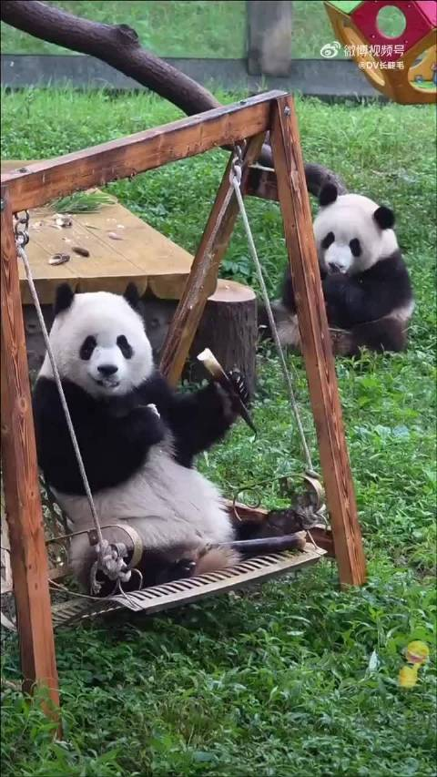 无症状感染他人/无症状感染他人怎么办