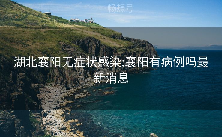 湖北襄阳无症状感染:襄阳有病例吗最新消息